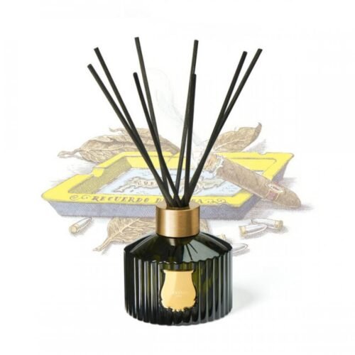 Difuzér Trudon Ernesto (dřevitá vůně kůže a tabáku, 350ml)