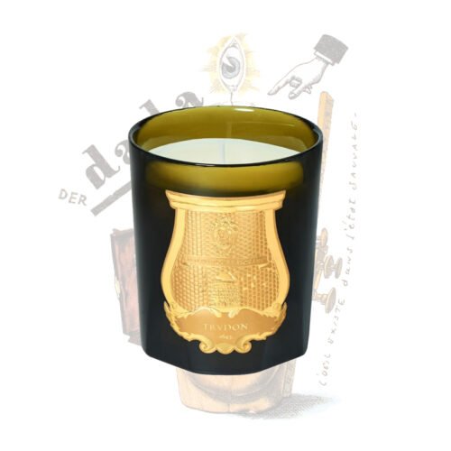 Svíčka Trudon Dada (vůně čaje a vetiveru, 270g)