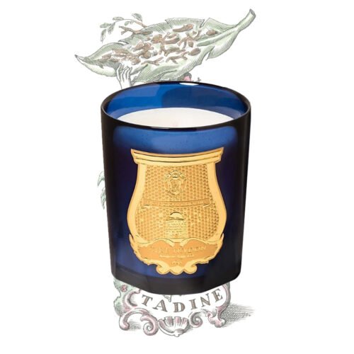 Svíčka Trudon Tadine (dřevitá kořeněná vůně, 270g)